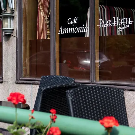 Rjukan Hotell Hotell 3*